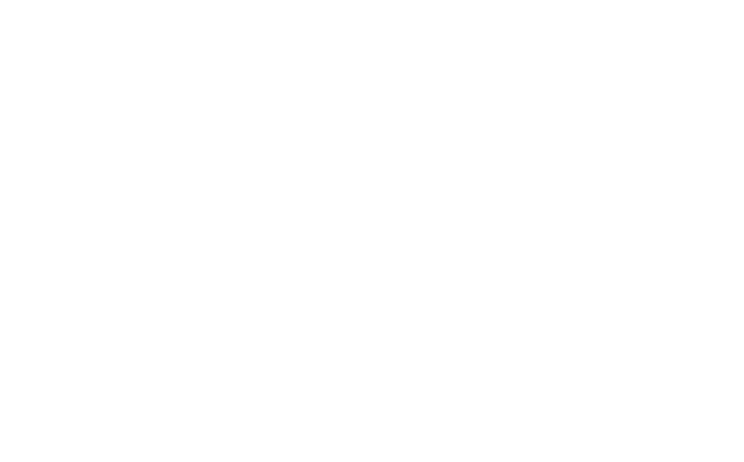 Final Fence Photography